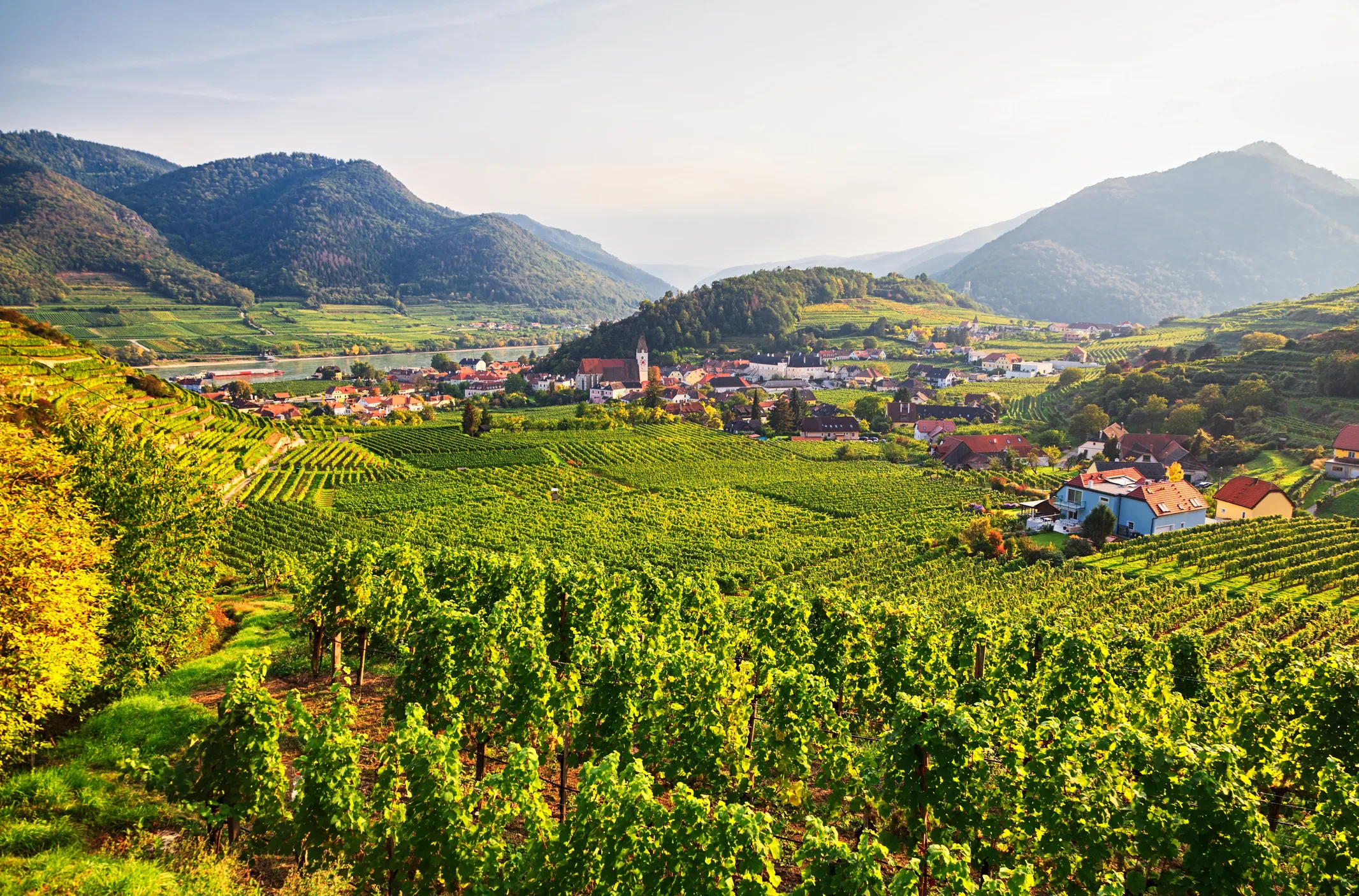 View of vineyards and a small village in the mountains.