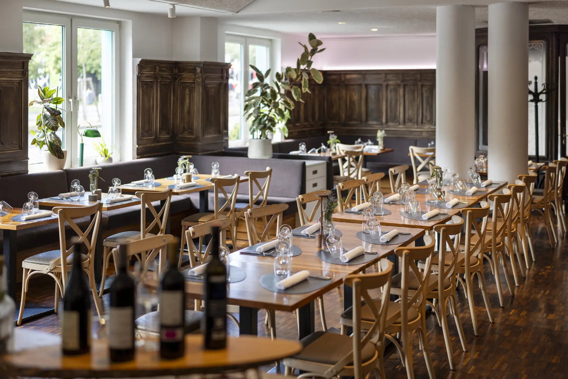 Gemütlicher Gastraum im Restaurant mit eleganten Tischen, Stühlen und Pflanzen, ideal für ein entspanntes Essen.
