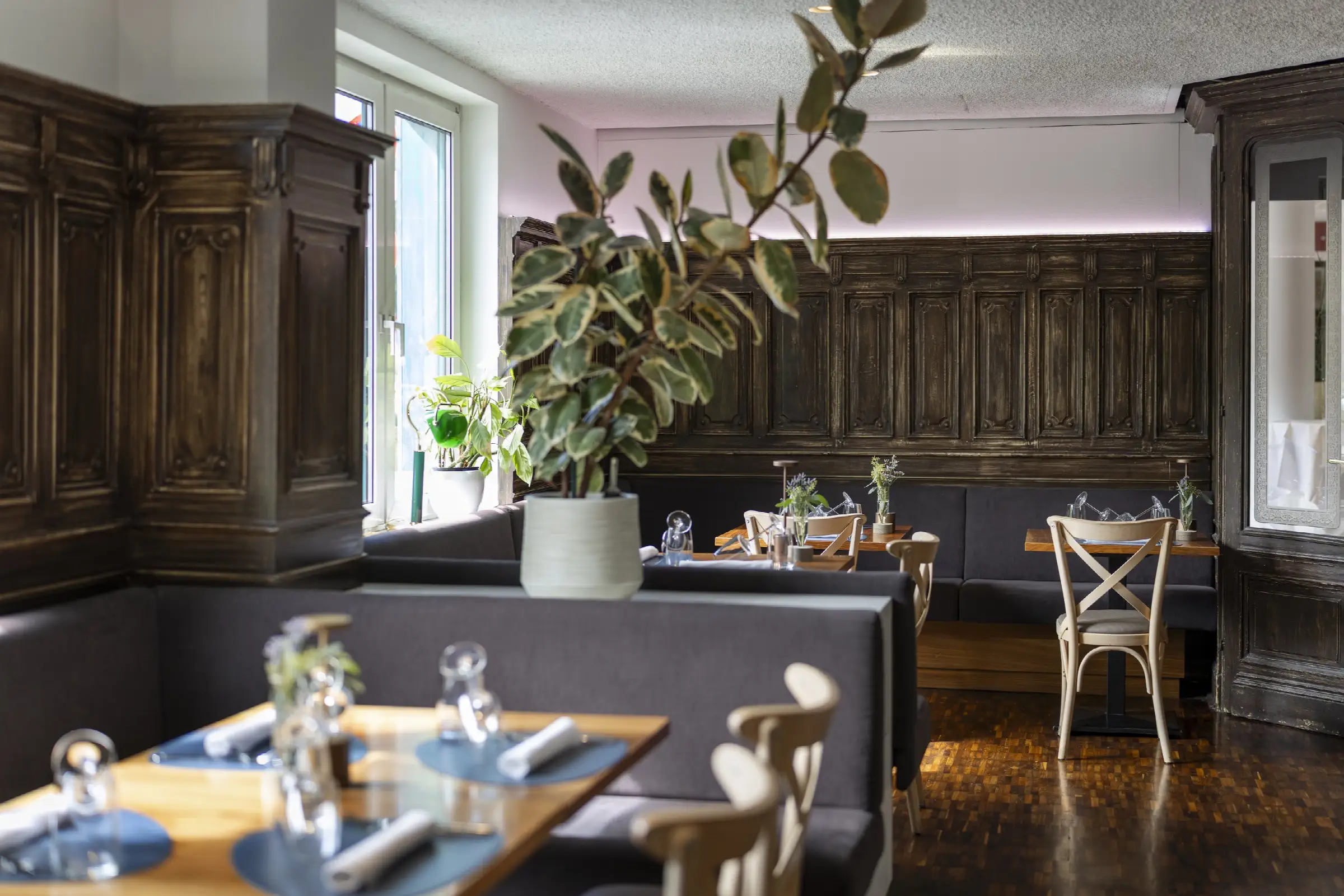 Gemütlicher Gastraum im Restaurant mit eleganten Sitzgelegenheiten, Pflanzen und stilvollem Holzinterieur.