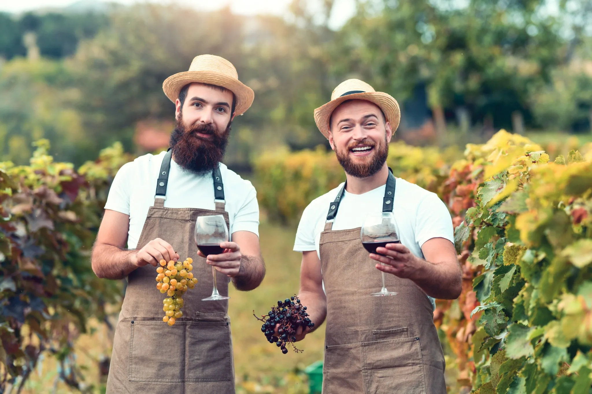 Zwei fröhliche Winzer halten Weintrauben und Gläser mit Wein im Weinberg.